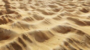 Realistic Desert Sand Texture with Fine Sand and Natural Ripples for Design and Print photo
