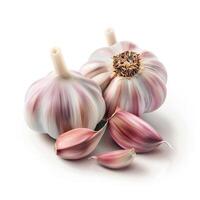 Garlic isolated on white background. photo