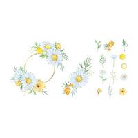 Watercolor floral frame with honeycomb, daisy and leaves vector