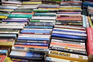New Delhi, India, June 17 2024 - Variety of Books on shelf inside a book-stall at Delhi International Book Fair, Selection of books on display in Annual Book Fair at Bharat Mandapam complex photo