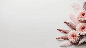 Ivory and peach flowers and feathers on a background, floral frame, copy space photo