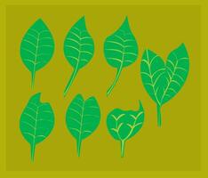 This is Leaf vector