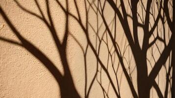 Abstract tree branches shadows on beige concrete wall texture. Copy space, poster mockup flat lay photo