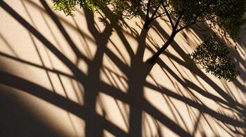 Abstract tree branches shadows on beige concrete wall texture. Copy space, poster mockup flat lay photo
