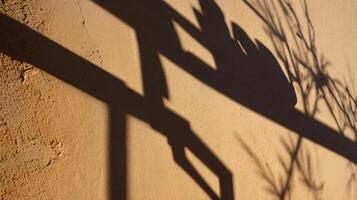 Abstract tree branches shadows on beige concrete wall texture. Copy space, poster mockup flat lay photo