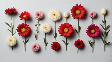 Meadow flower creative pattern. Design element. Springtime and summer concept. Top view, flat lay photo