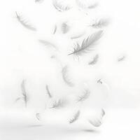 Delicate White Feathers Floating Gracefully Against a Soft Background photo