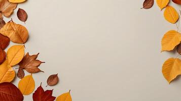 Branches of colorful autumn leaves isolated on a white background. Copy space photo