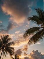 palm trees on the beach at sunset photo