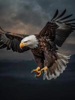 an eagle is flying in the air with its wings spread photo
