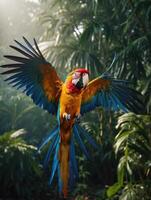 a colorful macaw parrot flying in the air photo