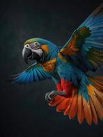 a colorful macaw parrot flying in the air photo