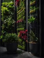 a vertical garden with plants and plants photo