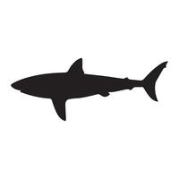 A large and dangerous shark. vector
