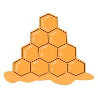 Bee honeycombs are hexagonal. Bee hive. vector
