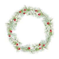 Green pine branches with red berries. Xmas wreath with evergreen branch. Watercolor illustration. Copy space for text. Botanical elements for greeting cards, invitations, projects for holiday season vector