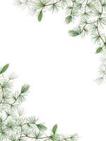 Evergreen branches. European Larch or Larix tree, Larix decidua. Festive vertical frame with nature theme. Watercolor illustration. Copy space for text. Botanical elements for greeting, invitation vector