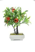 decorative tree made of plastic on a white background. Isolated on white. photo