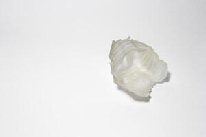 onion skin isolated on a white background photo