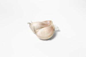 A piece of garlic isolated. Raw garlic with segments isolated on white background. photo