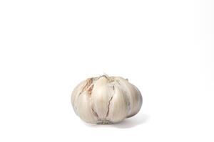 garlic on isolated white background photo