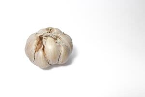 garlic on isolated white background photo