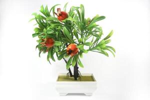 decorative tree made of plastic on a white background. Isolated on white. photo