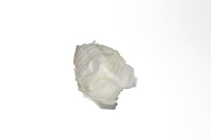 onion skin isolated on a white background photo