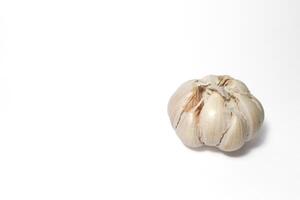 garlic on isolated white background photo