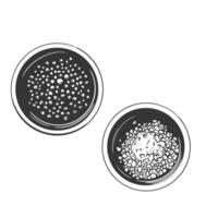 Bowls with sea Salt and pepper. Hand drawn peppercorns and Himalayan salt, black pepper, spices outline monochrome illustration. Black and white engraving isolated on background vector