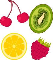 Hand draw fruits kiwi lemon cherry raspberry vector