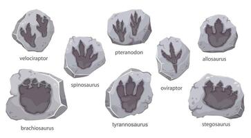 Dinosaur footprints fossil and archeology stones vector