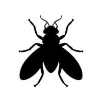 Fly insect illustration, Fly icon silhouette illustration vector