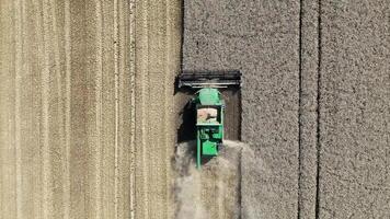 Combine Harvester Reaping Wheat Field During Harvest Season video