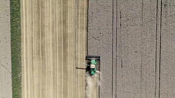 Combine Harvester Reaping Wheat Field During Harvest Season video