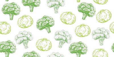 Seamless pattern with different cabbage. Broccoli, cauliflower on white background. Hand drawn cauliflower. Green vegetables. Food drawn with hatching. Sketch of broccoli vector