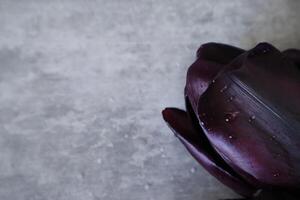 Bouquet of black and purple tulips on the grey textured background. photo