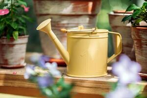 a gardeners yellow metal watering can container in greenhouse photo
