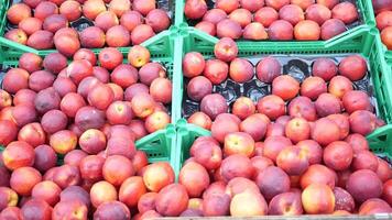 Come see the attractive presentation of fresh nectarines available for purchase in market crates video