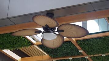 A stylish natural rattan ceiling fan complements a modern indoor setting adorned with greenery video