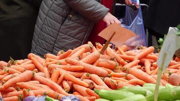 pile carrot displaying at local shop. video