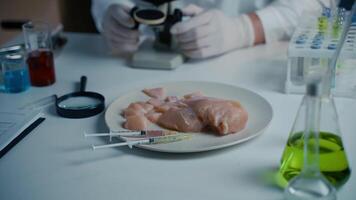 Lab assistant testing GMO chicken. Worker of food quality control examines samples behind a microscope. Genetically modified antibiotics residue in food. Food technology. Food quality control concept. video