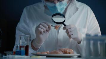 Professional lab worker looking at meat sample through magnifier. Laboratory assistant checks quality of meat at laboratory. Look at chicken through magnifier glass. Meat quality control. video