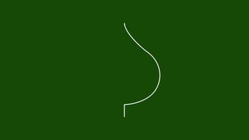 Set of minimal tree leaf one line drawing, simple cute contour autumn leaves animation on green screen background video