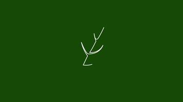 Set of minimal tree leaf one line drawing, curve wavy contour autumn leaves animation on green screen background video