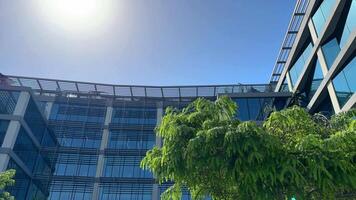 Cinematic view from a drone of the office windows of a glass skyscraper with business people working late. Panorama of a drone in the distance of the windows of a skyscraper close-up. video