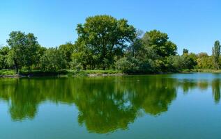Green lake reflecting the trees on its bank on a sunny day photo