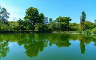 Green lake reflecting the trees on its bank on a sunny day photo