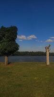 A lush green field with two trees, one with leaves and the other a bare trunk, bordering a lake on a bright day photo