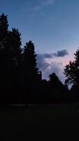 Tall trees stand in silhouette against a twilight sky, with pink clouds in the distance photo